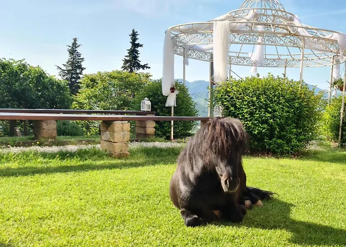 B&B Guardastelle